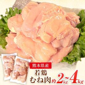 【ふるさと納税】 鶏肉 若鶏 むね肉 約2kg × 1袋 2袋(1袋あたり約300g×7枚前後) たっぷり大満足！《30日以内に出荷予定(土日祝除く)》 熊本県 葦北郡 津奈木町 訳あり SDGs 定期 でない