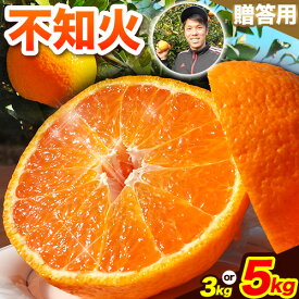 【ふるさと納税】先行予約 不知火 熊本のブランド果実 選べる 不知火 贈答用 約 3kg (10玉) または 約 5kg (16玉) 未来来農園 選べる内容量 《2026年4月上旬-4月下旬頃出荷》熊本県 葦北郡 津奈木町 みかん デコポン でこぽん フルーツ 柑橘 しらぬい