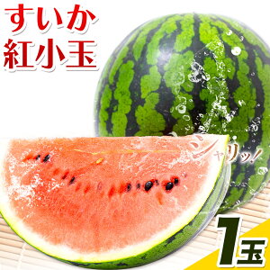 yӂ邳Ɣ[Łz g 1 炭_s2026N7{-2026N7{oׁtF{ Óޖؒ ʕ  Z XCJ ʕ t[c
