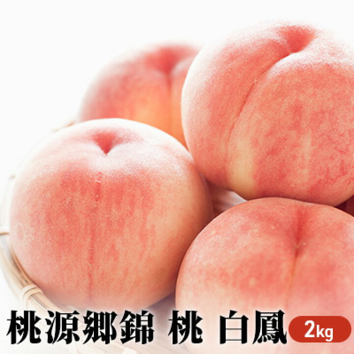 入荷予定 ふるさと納税 清流錦 5kg 配送不可:離島 2022年発送 熊本県錦町 入荷予定 ふるさと納税 清流錦 5kg 配送不可:離島 2022年発送 熊本県錦町