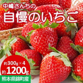 楽天市場 ひのしずく 熊本 いちご フルーツ 果物 食品の通販 楽天市場 ひのしずく 熊本 いちご フルーツ 果物 食品の通販