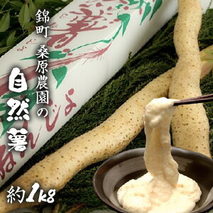 yӂ邳Ɣ[ŁzR 1kg ђY K_ zsF @͂F2025N11{`2026N7{