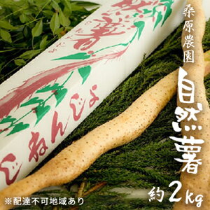 yӂ邳Ɣ[ŁzR 2kg ђY K_ zsF   @͂F2025N11{`2026N7{