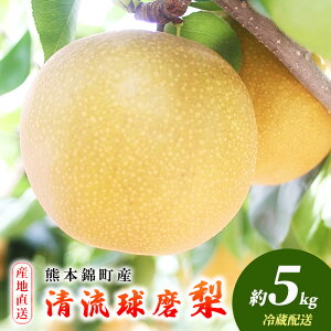yӂ邳Ɣ[Łz { 5kg s\ 2025N ʎ т̗ Ȃ t[c ʕ fU[g zs: @͂F2025N8{`11{