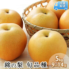 【ふるさと納税】梨 5kg 先行予約 錦の梨 約9玉～14玉 フルーツ なし ナシ 果物 デザート 2025年発送 古里農園 配送不可:離島 　お届け：2026年8月上旬～10月下旬