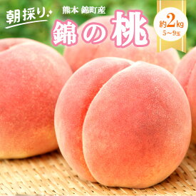 【ふるさと納税】桃 白桃 先行予約 錦の桃 2kg 約5玉～9玉 もも モモ フルーツ 果物 デザート 2025年発送 鎌木果樹園 配送不可:離島 　お届け：2025年7月上旬～8月下旬