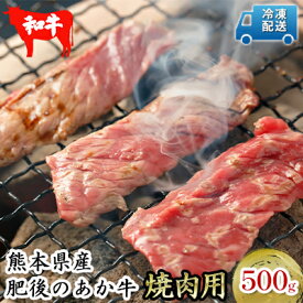 【ふるさと納税】肥後の赤牛 焼肉 用 500g　【お肉 牛肉 焼肉 バーベキュー あか牛】　お届け：※約3ヶ月ほどお待ちいただく場合がございます。