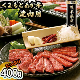 【ふるさと納税】焼肉セット 炭火 牛肉 あか牛 赤牛 400g GI認証 くまもと 赤牛 熊本 和牛 肥後 焼肉用 肉 お肉 BBQ バーベキュー
