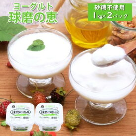 【ふるさと納税】ヨーグルト 無糖 プレーン 球磨の恵ヨーグルト 1kg×2パック 砂糖不使用 乳製品 配送不可:沖縄、離島 発酵食品 朝食 間食 新鮮 生乳 とろ～り もっちり 酸味がない 2個セット 2キロ 大容量
