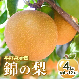 【ふるさと納税】梨 先行予約 4kg 平野果樹園 錦の梨 清流錦 2026年発送 フルーツ 果物 デザート 配送不可：離島 　お届け：2026年8月中旬～11月中旬