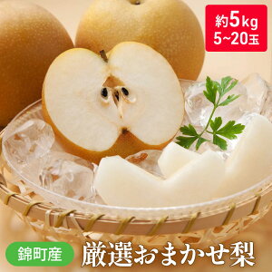 yӂ邳Ɣ[Łz ܂ 5kg LEHEVȂǂł{̗I ђY 5`20 Ȃ iV ʕ  fU[g t[c zsF @͂F2025N8{菇