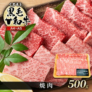 yӂ邳Ɣ[Łz A4`A5 ܂ јa ē 500g Ă   zsF