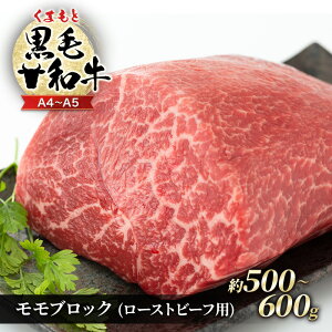 yӂ邳Ɣ[Łz󂠂 A4`A5 ܂ јa  ubN ( [Xgr[tp ) 500g`600g   zsF