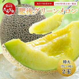 【ふるさと納税】＼2026年発送分 先行予約／ 特大 肥後グリーンメロン 2玉 合計5.4kg以上 【2026年6月上旬～順次発送】 熊本県 多良木町産 果物 フルーツ グリーンメロン 先行予約 新着 青肉 期間限定 数量限定 熊本県 多良木町 送料無料 101-0002