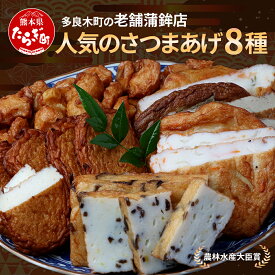 【ふるさと納税】農林水産大臣賞 受賞 蒲鉾店 さつまあげ 8種 詰め合わせセット 真空パック さつま揚げ バラエティ つけあげ 魚介 魚 手軽 便利 加工品 揚げ物 野菜 加工食品 国産 冷凍 熊本県 多良木町 送料無料 003-0536