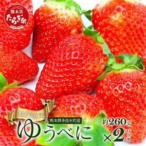yӂ邳Ɣ[ŁzF{Y y䂤ׂɁz260g×2pbN 2026N1` ≺_ Yn Y VN tbV C`S 2pbN  t[c ʕ t Y F{ ǖؒ r^~ { 