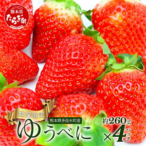 yӂ邳Ɣ[Łz F{Y y䂤ׂɁz260g×4pbN 2026N1` ≺_ Yn Y VN tbV C`S 4pbN  t[c ʕ t Y F{ ǖؒ r^~ { 