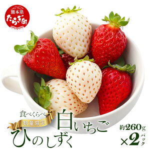 yӂ邳Ɣ[ŁzF{Y yЂ̂EzHה׃Zbg260g×2pbN 2026N1` ≺_ Yn Y VN tbV C`S  t[c ʕ t Y F{ 