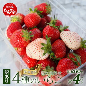 yӂ邳Ɣ[Łzy󂠂zF{Y  lߍ킹 260g×4pbN ≺_ Yn Y VN tbV C`S  t[c ʕ t Y F{ ǖؒ r^~ {  t[