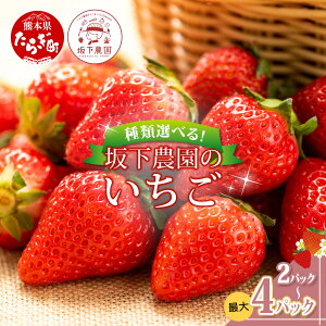 yӂ邳Ɣ[ŁzF{Y  siƗeʑIׂt260g×2`4pbN 2026N1` 䂤ׂ ݂̂ Ђ̂ C`S Hה ≺_ Yn Y VN tbV C`S 