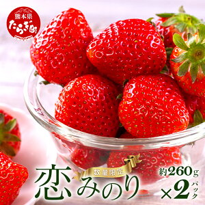 yӂ邳Ɣ[Łz F{Y ŷ݂z260g×2pbN 2026N1` ≺_ Yn Y VN tbV C`S 2pbN  t[c ʕ t Y F{ ǖؒ r^~ { 