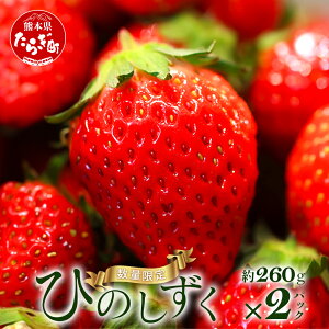 yӂ邳Ɣ[Łzss\tF{Y yЂ̂z520g(260g×2pbN) ≺_ Yn Y  VN tbV C`S 2pbN  t[c ʕ t Y F{ ǖؒ r^