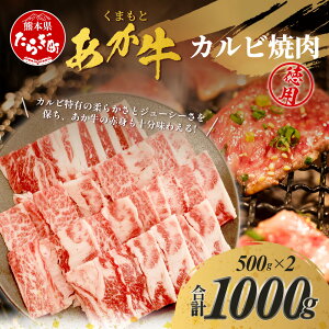 yӂ邳Ɣ[Łz ܂Ƃ Jrēp p 500g×2pbN v1kg F{ uh  Ԑg  W[V[ Ԑg    ԋ Jbg Ă ₫ɂ LjN BBQ o[xL