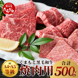yӂ邳Ɣ[Łz A4` A5   ܂ƍјa ēp 500g uh   ₫ Ă o [X  a Y F{ ㋉ ㎿ BBQ AEghA  Ⓚ BY F{Y 