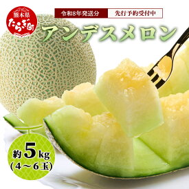 【ふるさと納税】《2026年発送分 先行予約》 アンデスメロン 4玉〜6玉 合計 約5kg アンデス メロン 甘い 果物 フルーツ 果実 ジュージー 国産 熊本県産 熊本県 多良木町 送料無料