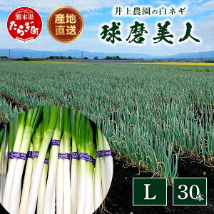 yӂ邳Ɣ[Łzys\z_ lM ulv LTCY×30{ y2025N11or{菇z lM K lM lM K ˂   Ă Ă ~ Y Y