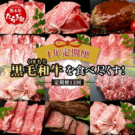 【ふるさと納税】【定期便12回】くまもと 黒毛和牛 を味わい尽くす! 1年 定期便 《 すき焼き 焼肉 しゃぶしゃぶ ハンバーグ ステーキ ローストビーフ 》【 合計9.06kg】 本場 熊本 黒毛 和牛 ブランド 牛 肉 サーロイン ロース 赤身 上質 国産 牛肉 冷凍 熊本県 送料無料