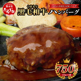 【ふるさと納税】くまもと 黒毛和牛 DREAMバーグ 150g×5個～7個 計750～1050g 牛肉 100％ 国産 生 ハンバーグ 熊本 ブランド牛 黒毛 和牛 上質 和牛 ジューシー 霜降り はんばーぐ 惣菜 冷凍 小分け 熊本県 送料無料
