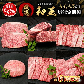 【ふるさと納税】《定期便6回》くまもと 黒毛和牛【 和王 堪能 定期便 】6回配送 ブランド牛 プレミアム 定期便 サーロイン ヒレ ステーキ 最上級 黒毛 和牛 牛肉 国産 A4 A5 熊本県 冷凍 A4 A5 熊本県 送料無料