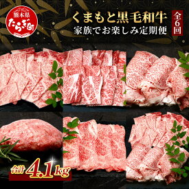 【ふるさと納税】《12月終了》《定期便6回》くまもと 黒毛和牛 家族でお楽しみ定期便 ロース すき焼き 焼肉 生 ハンバーグ10個 / 赤身 スライス 合計4.1kg 焼き肉 すきやき スキヤキ ハンバーグ ジューシー ご馳走 霜降り 上質 ブランド牛 国産 牛肉 冷凍 熊本県 送料無料