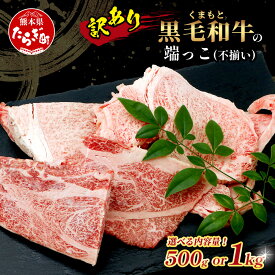 【ふるさと納税】《訳あり》くまもと黒毛和牛 の 端っこ ( 不揃い ) 切り落とし 切れ端 500g / 1kg 規格外 訳あり 牛肉 肉 切り落とし 熊本県 黒毛 和牛 肉 焼き肉 くまもと ブランド牛 アウトドア 焼肉 ブランド牛 やき肉 お肉 ワケアリ わけあり 大容量 送料無料