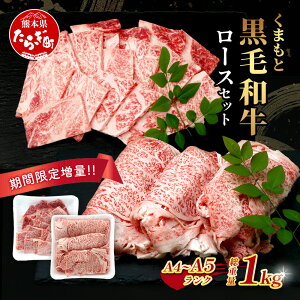 yӂ邳Ɣ[Łzs2E3 t A4EA5 ܂ƍјa [X Zbg v 1kg (Ă / ē e500g) uh { F{ uh   a I A4 A5 e 1L Y F{ 