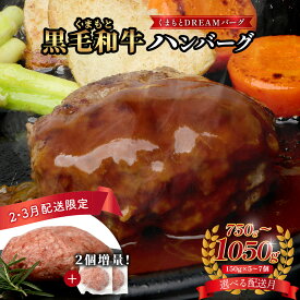 【ふるさと納税】くまもと 黒毛和牛 DREAMバーグ 150g×5個～7個《2・3月発送は増量》計750～1050g 牛肉 100％ 国産 生 ハンバーグ 熊本 ブランド牛 黒毛 和牛 上質 和牛 霜降り はんばーぐ 惣菜 冷凍 小分け 熊本県 お取り寄せグルメ 送料無料