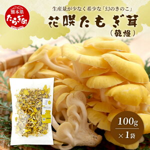 yӂ邳Ɣ[Łz_͔|yԍ  () 100g z LmR ^M_P q^P N h{Lx o`  GS`IlC ^M N h{Lx  Y Nێ VR