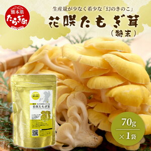 yӂ邳Ɣ[Łz_͔|yԍ  () 70g z LmR ^M_P q^P N h{Lx o`  N h{Lx  F{ ǖؒ F{Y Y Nێ H@