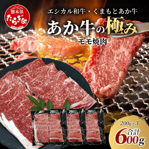 yӂ邳Ɣ[ŁzsGVJat܂Ƃ ē 200g×3 (v 600g) y̋ɂ݁z  Ԑg F{    ē Ă ₫ɂ BBQ o[xL[ a Y SDGs u