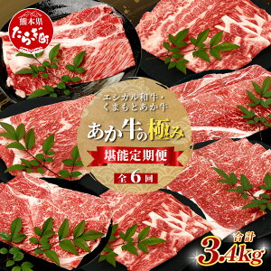 yӂ邳Ɣ[Łzs6tGVJaE܂Ƃs̋ɂ \t  (v 3.4kg) [X o  J^ ē Ă Ԃ F{    a 