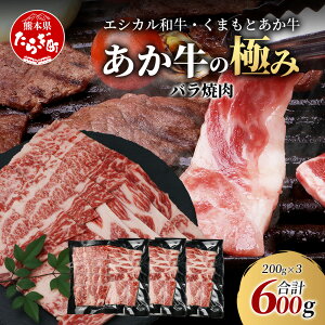 yӂ邳Ɣ[ŁzsGVJat܂Ƃ oē 200g×3 (v 600g) y̋ɂ݁z o F{ ԋ W[V[   Ă ē ₫ BBQ AEghA a Y SDGs u