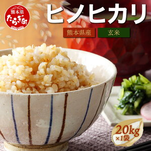 yӂ邳Ɣ[Łzߘa7NY V  wqmqJ x20kg  Ђ̂Ђ 20L ǖؒY  10{甭\  S Â ܖ  F{̂  ܂ ~l 20 