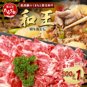 yӂ邳Ɣ[ŁzsIׂt܂ƍјa(a) ؂藎Ƃ 500g / 1kg uh   | Ă ₫ XLL Ԃ v~Ai N Nz N