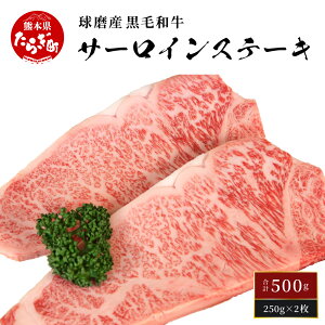 yӂ邳Ɣ[ŁzyIׂzY јa T[CXe[L500g  250g×2  T[C Xe[L  Iׂz a  S    Y Ⓚ F{ ǖ