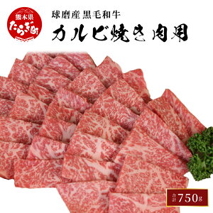 yӂ邳Ɣ[ŁzY јa JrĂp 750g Jr Ă ē o  ̐g ㎿  |   a Y  S Ⓚ F{ ǖؒ 