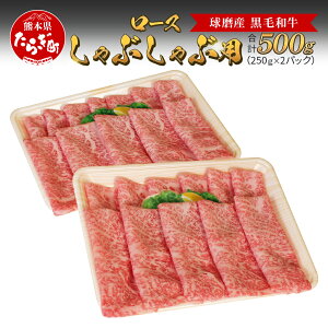 yӂ邳Ɣ[ŁzsIׂtY јa [XԂԗp 500g 250g×2pbN [X Ԃ Ԃԗp  XCX    a Y  S F{