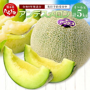 yӂ邳Ɣ[Łzs2026N s\t AfX v5kg AfX  Â ʕ t[c ʎ W[W[ Y F{Y F{ ǖؒ s\ 5kg  Ԍ ʌ