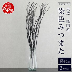 【ふるさと納税】染色 TSUKIGI みつまた 3本 1セット 高さ50cm～80cm インテリア オブジェ 枝 黒 ブラック モダン おしゃれ ドライフラワー スタイリッシュ モノトーン 和 天然 国産 槻木 多良木町 送料無料