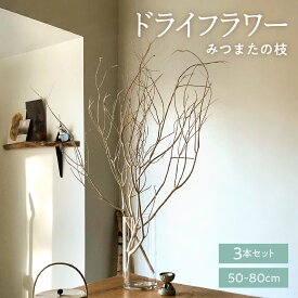 【ふるさと納税】TSUKIGI みつまた 3本 1セット 高さ50cm～80cm ナチュラル インテリア 枝 ドライ フラワー 枝 白 モダン おしゃれ ドライフラワー ナチュラル アロマ ウッド 植物 オブジェ 木 飾り ミツマタ 三又 クリスマス 天然 国産 槻木 インテリア 枝 送料無料